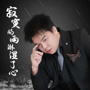 寂寞的雨淋湿了心