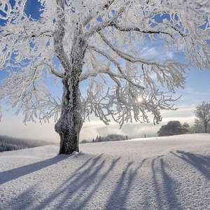 为你写诗（Cover 吴克群）