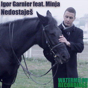 Nedostajes (Original Mix)