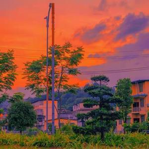 茉莉花伤感狈心