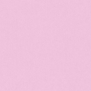 Önümüz Yaz Speed Up