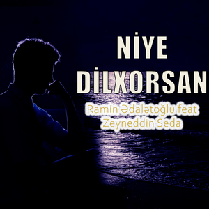 Niye Dilxorsan