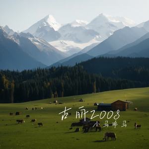 古丽2008