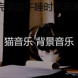 柔和的猫午睡时间时刻