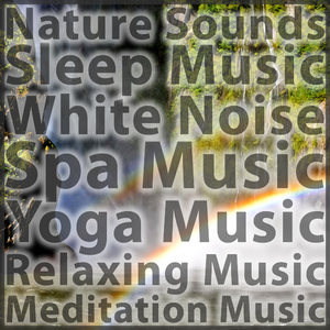 Base Chakra (Root Chakra) - Nature Sounds Effects for Chakra Balance Energy