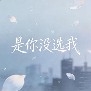 是你没选我