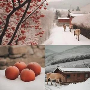 南方姑娘 (乘风2025现场)