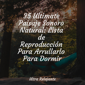 Mirar Fijamente A La Niebla