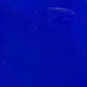 绝对占有 相对自由