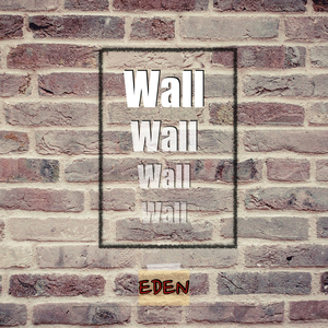 벽 (Wall)