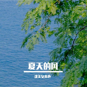 夏天的风.wav