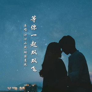 等你一起双双飞DJ (对唱版)