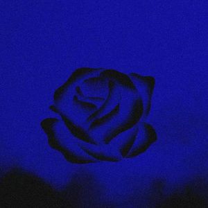 the perfect pair（cover:beabadoobee)