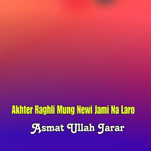 Amriky Ghark Shy Zonan Dy Shahida Ko Darta