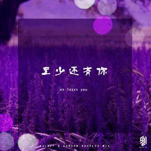 林忆莲-至少还有你 - DJLAEF & CARSON Bootleg MIX）（Carson / DJLAEF remix）