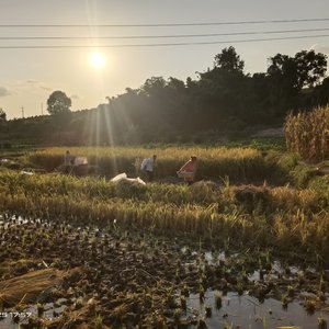 突如其来这场雨