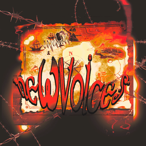 New Voices 2.0