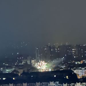 阳台的花（demo2）