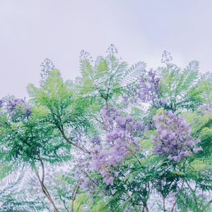 流淌的岁月（酒店背景音乐钢琴曲）