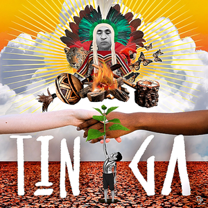 Tinga (Resistência)