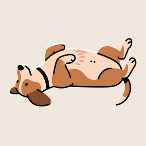 犬のころんころん (Live)