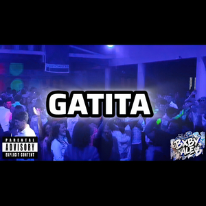 Gatita