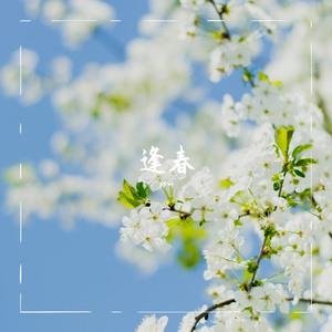 逢春（先行测试版）