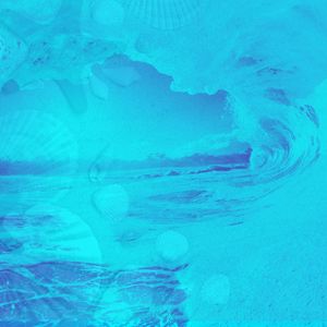 抚慰的海浪回忆