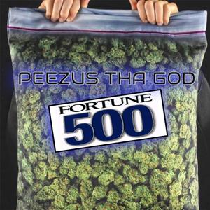 FORTUNE 500