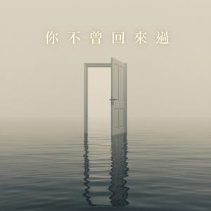 你不曾回來過