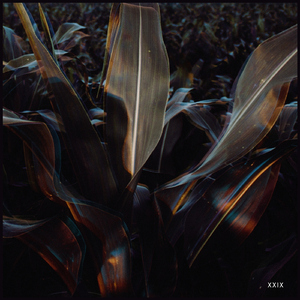 Wonky (El Mundo's Children Rework)