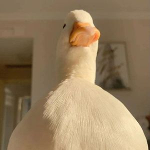 Villain【prod by CRAZY BEATZ】