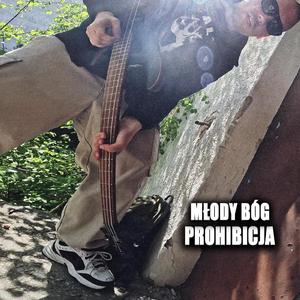Prohibicja