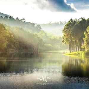 枫尘逝 (静心陶笛)