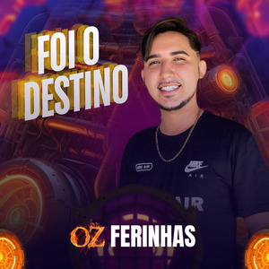 Foi o Destino
