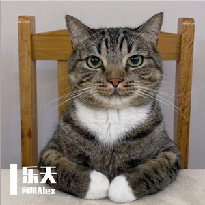 黑瓦白墙间岁月静好美