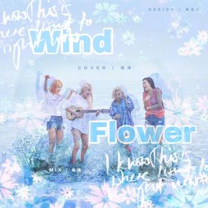 Wind Flower（翻自 妈妈木）