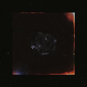 黑纸玫瑰（prod by mega）