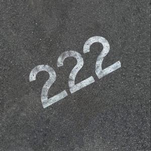 222 (feat. Jeffkillerd, Floww7_ & Beri7sev)
