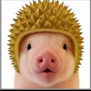 萤火远方