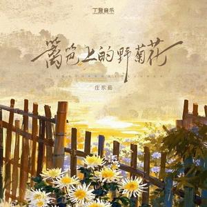 篱笆上的野菊花