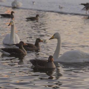 给电影人的情书