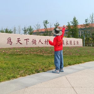 师父退休啦 伴奏