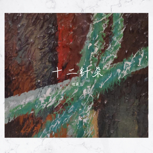 十二针朵