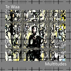 Multitudes