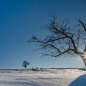 of Folk Songs