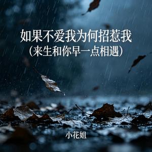 如果不爱我为何招惹我(来生和你早一点相遇)