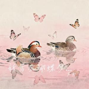 新鸳鸯蝴蝶梦R&B版 (Cover 黄安)