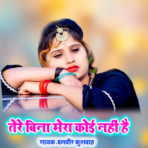 Tere Bina Mera Koi Nahi Hai