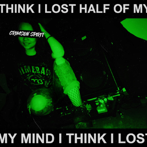 I Think I Lost Half of My Mind